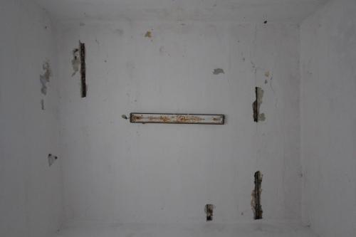 IMG 6542