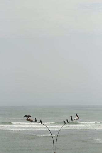 IMG 8609