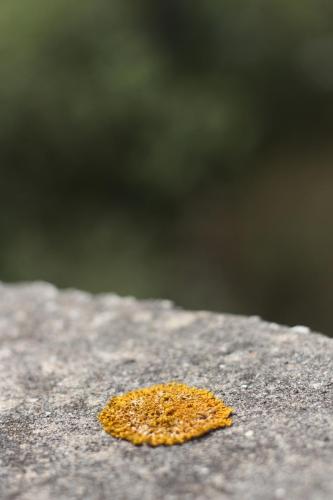 IMG 6573